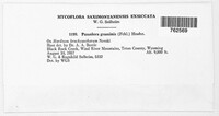 Graminopassalora graminis image